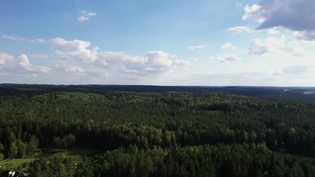 Camera flies over the forest