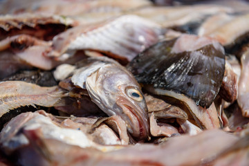 Fish waste, including heads, tails and bones in a bucket at a fishmonger.
