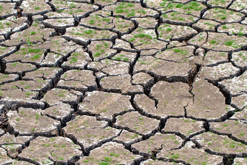 Picture of land with dry and cracked ground