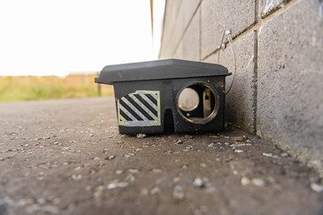 Rat trap on ground outside a building, containing poison.