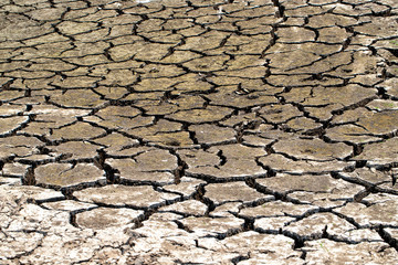 Picture of land with dry and cracked ground