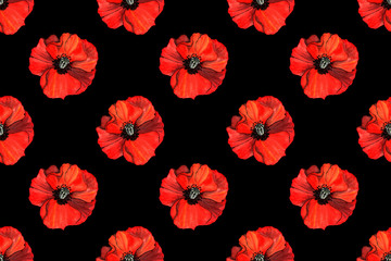 seamless pattern of red poppy flowers on a black background