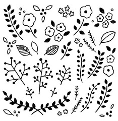 
手書きの植物　お花　モノクロ