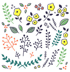 手書きの植物　お花　カラー