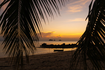 View through the leaves of palm trees on the ocean. There is a wooden boat on the water. Sunset. Sand beach. Romance