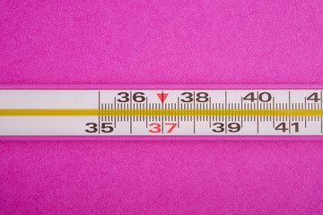 Analog thermometer on pink purple background, healthcare medical concept, antibiotics and cure, top view macro