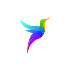 Flying colibri logo design. colorful icon for business, education and natural company illustration