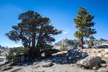 Southwest usa Yosemite National Park California valley pools mountains and forests.