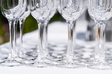 Set of blank empty wine glasses displayed in rows. Preparation for the holiday.
