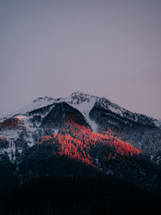 ski resort landscape