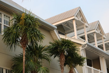 Fototapeta na wymiar palm trees in front of house