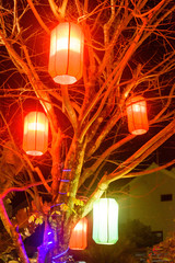Colourful cloth lanterns lamp light shades hanging from a tree in Hoi An, Vietnam