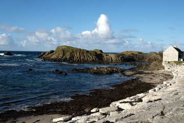 Northern Irish coastal landscape