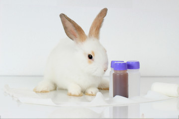 A cute white rabbit with long brown ears on white background, adorable bunny with doctor's stethoscope and medicine, veterinary, medical equipment and pat concept