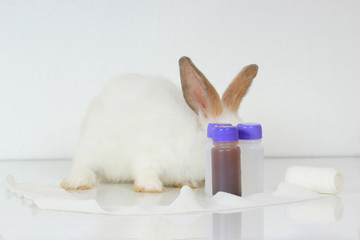 A cute white rabbit with long brown ears on white background, adorable bunny with doctor's stethoscope and medicine, veterinary, medical equipment and pat concept