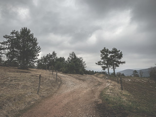 Empty countryside road
