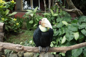Wonders of Bali! © Thorsten