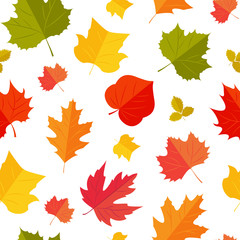 Autunm colorful leafs pattern