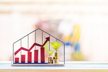 Red arrow graph and stacked coin with plant growing value on top put in the home model in the...