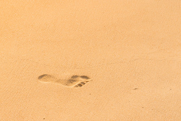 Fototapeta na wymiar Footmark in a Sand on the Beach at Phuket Thailand
