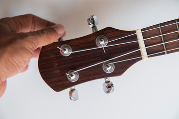Four white ukulele strings have hand adjusting it for playing on white background.