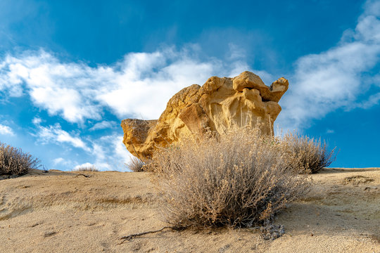 Unique Oolite rock formation with desert bush and blue sky