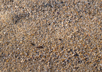 close up of sand on a beach with sun