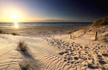 Poster de jardin Mer du Nord, Pays-Bas vue sur la plage de la mer depuis la dune de sable