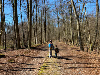 Obraz premium Kinder machen einen Waldspaziergang in der Schorfheide während der Coronakrise am 05.04.2020.