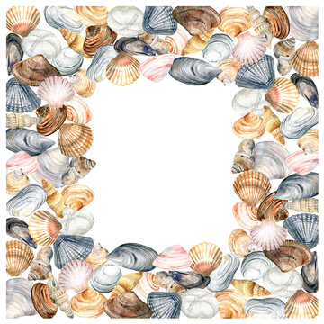 Frame with colorful shells on a white background . Stock
 illustration. Hand painted in watercolor.
