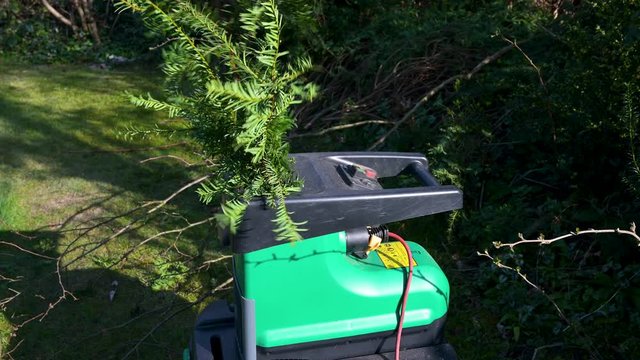 Zerkleinern von Zweigen und &Auml;ste in einem Garten Schredder