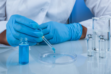Fototapeta premium coronavirus vaccine testing close up. hands of a laboratory employee in blue gloves drip blue liquid into a petri dish