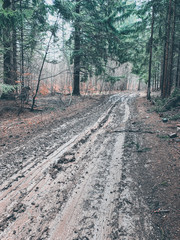 Obraz premium Empty countryside road