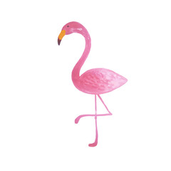 Flamingo illustration. Flamingos with acrylic paint. Tropic summer illustration. Wild and beautiful nature