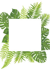 Tropical green leaves frame template. Floral border with place for text. Vector illustration.