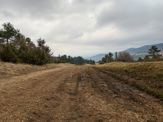 Empty countryside road