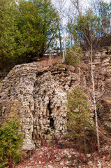 Niagara Escarpment High Bluffs and Cedars Bay Shore Park.