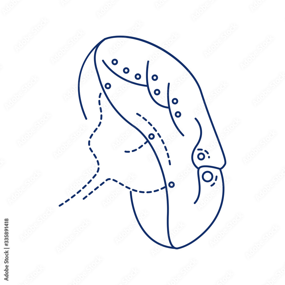 Poster bio artificial kidney black line icon. engineered kidney. provide biological functions of a healthy 