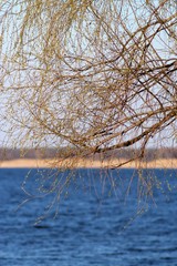 Obraz premium The Dnipro River near Kyiv
