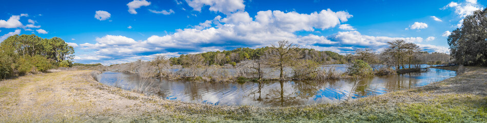 Beautiful winter landscape
