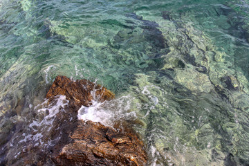 Details from the sea. Seascape 