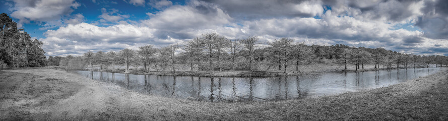 Beautiful winter landscape