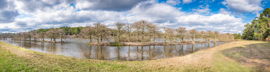 Beautiful winter landscape