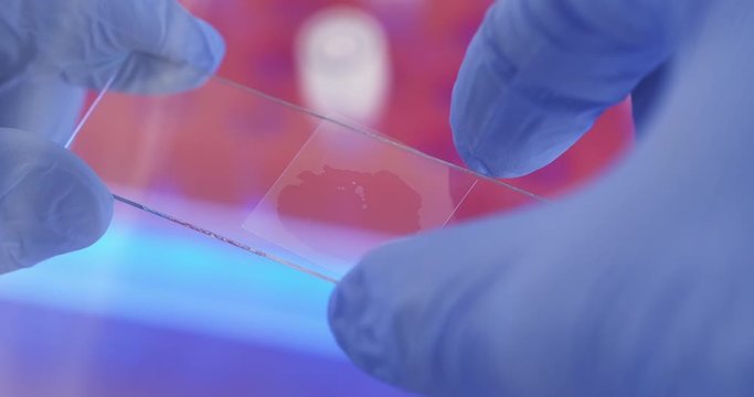A close-up of a transparent sample droplet which is covered with thin glass. Sample preparation for analysis.