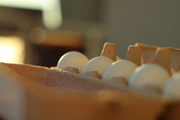 Bio-Eier im Karton