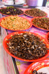 Bowls of deep fried insect grubs and frogs for sale at a Thai street food market stall, Phuket, Thailand