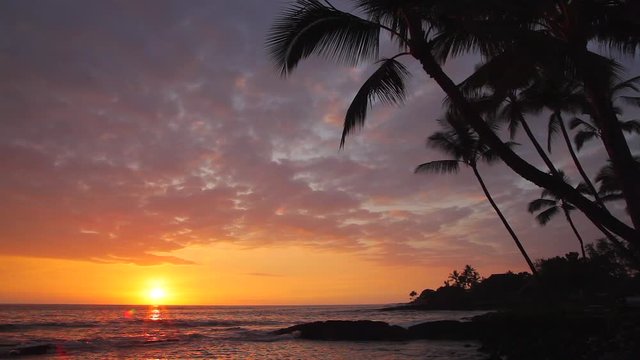 Spectacular pinkish red sunset at a Kona shore on the island of Hawaii with coconut palms and swaying fronds on the right and small lazy surf slowly rolling to the shore.