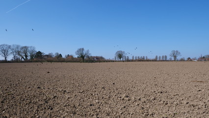 Acker mit blauem Himmel