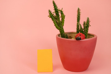 Houseplant in pot and yellow blank paper card on pink background. Copy space. Potted cactus in minimal home decor.