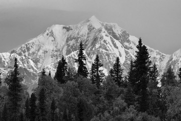 Black and white snowy mountain with trees in foreground - 335896842